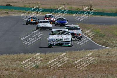 media/May-04-2024-Lucky Dog Racing (Sat) [[d39539b3f3]]/Race Pics/1015am (Turn 2)/